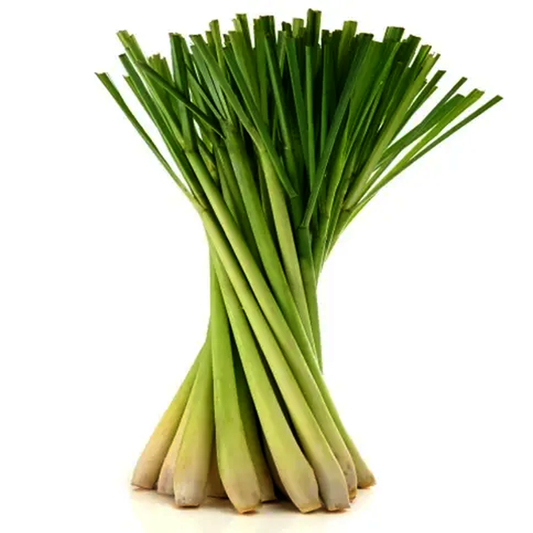 ຫົວສິງໄຄ Lemongrass 100g pack ( Barcode 50103108 )