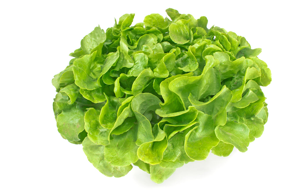 ສະລັດໂອກສີຂຽວ Green Oak lettuce 200g pack (Barcode 03717399)