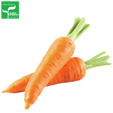 ແຄຣອດ ປອດສານພິດ  Organic Carrots 200g pack ( Barcode 50103102)