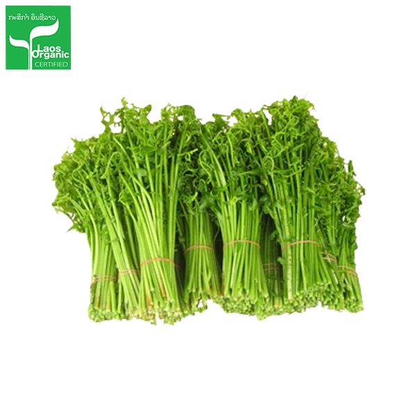 ຜັກກູດ 300g Paco Fern (Barcode 501030196)