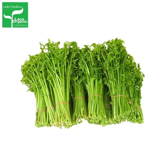 ຜັກກູດ 300g Paco Fern (Barcode 501030196)