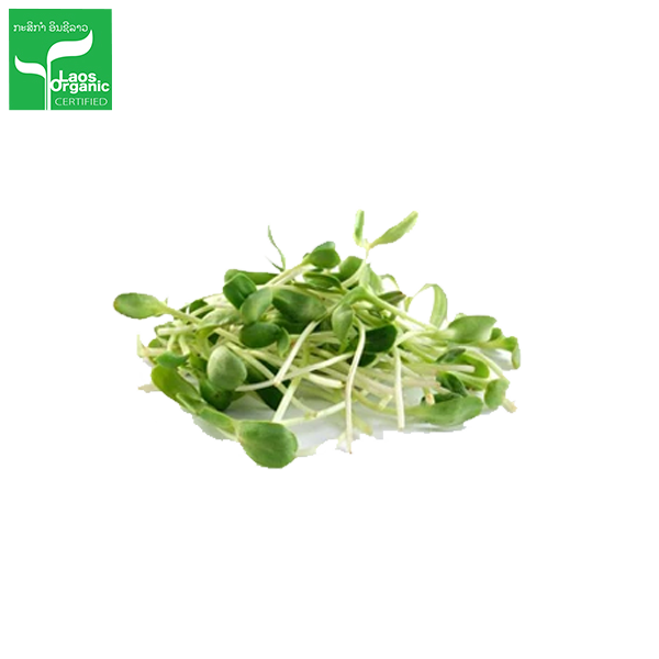 ຕົ້ນຕາເວັນອ່ອນ Sunflower sprouts 200g pack (Barcode 501030120)