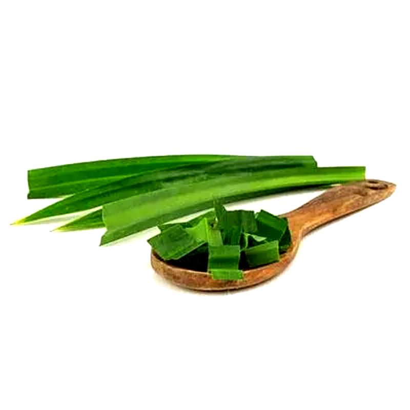 ໃບເຕີຍ Pandan Leaves per pack (Barcode 75995671)