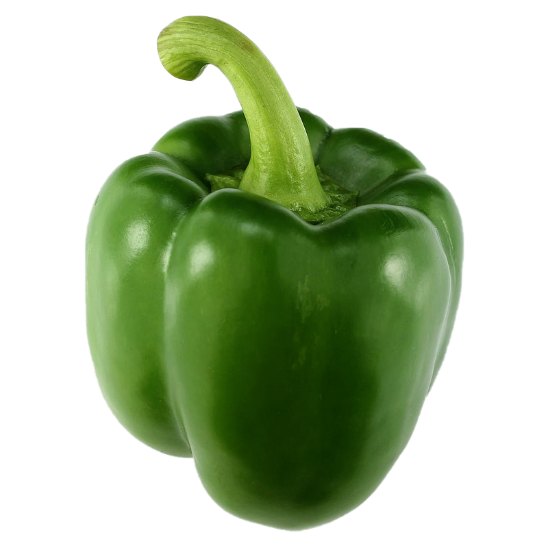 ປາປິກ້າຂຽວ Organic Green Pepper Bell per piece (Barcode 50103202)