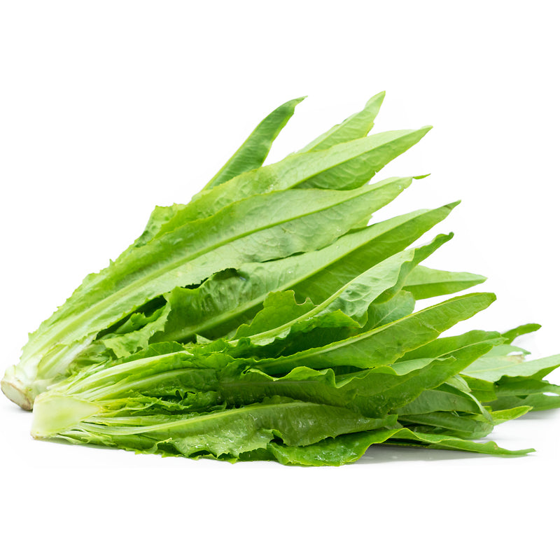 ສະລັດໃບດາບ Sword Lettuce per pack (Barcode 58299415)