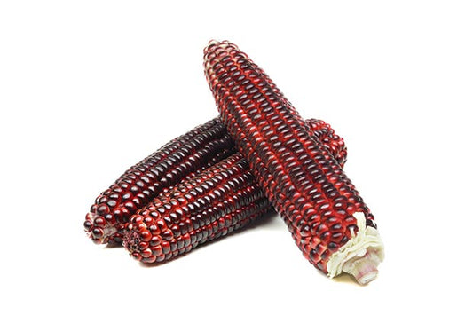 ສາລີມ້ວງ ປອດສານພິດ  Organic Purple Corn per piece (Barcode 33135127)