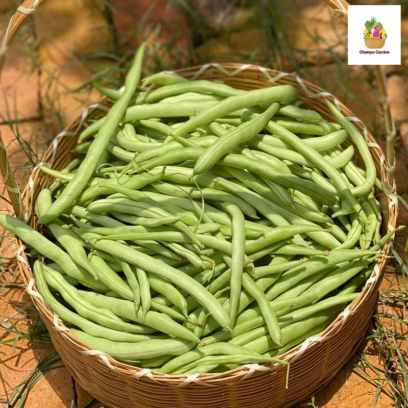 ຖົ່ວກະແວ 100ກຮາມ Bush beans 100g pack ( Barcode 50103144 )