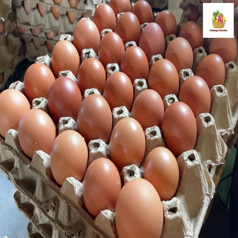 ໄຂ່ປອດເຊື້ອເບີ2 Chicken Eggs 30 pcs of pack ສີຟ້າ (No2) (Barcode 33659159)