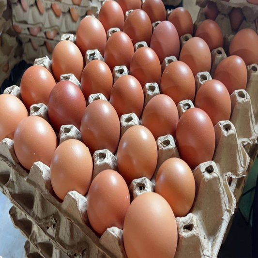 ໄຂ່ໄກ່ແພັກ30ໜ່ວຍ ເບີ 1 Chicken Eggs 30 pcs of pack (No.01) (Barcode 92467479)