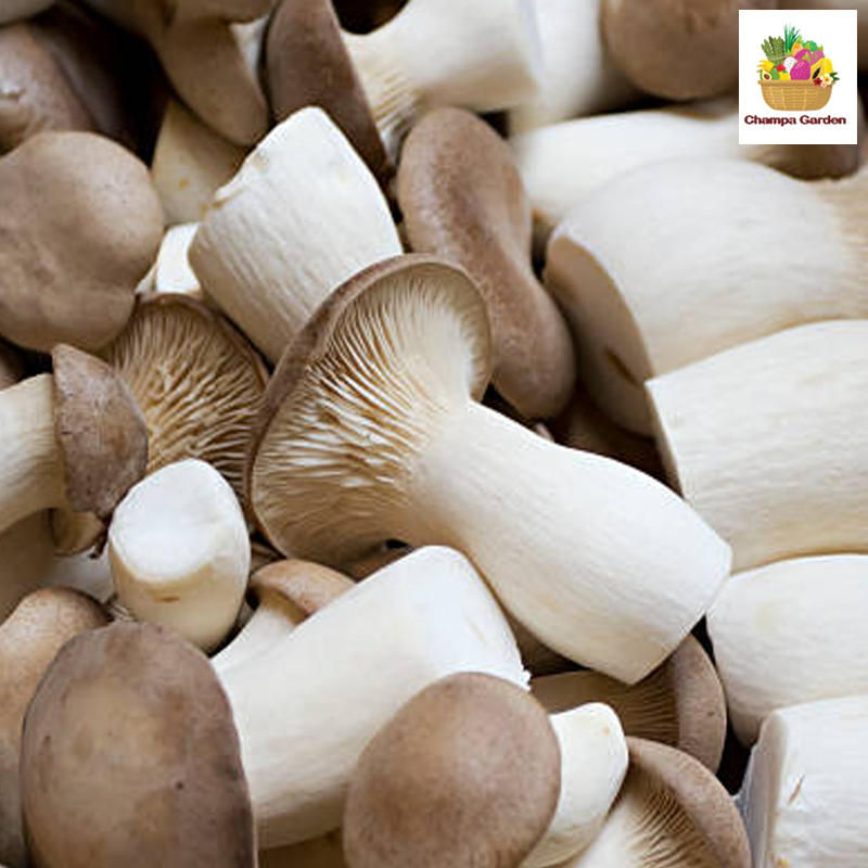 ເຫັດສິເມຈິ Eringi mushroom 200g pack  (Barcode 50103182)