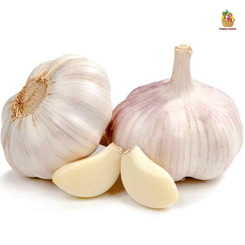 ກະທຽມ  ຕໍ່ຖົງ Garlic pack of 200g  ( Barcode 50103112 )