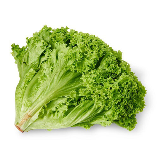 ສະລັດຍໍ່ສີຂຽວ ຕໍ່ຖົງ Green Coral lettuce per 200g (Barcode 50103116)