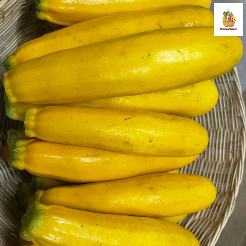 ສຸກິນີເຫຼືອງ Yellow Zucchini per piece  ( Barcode 28706071 )